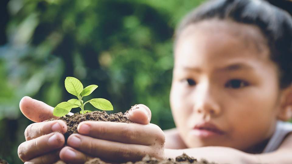 Kinderhanden die plantje vasthouden. 